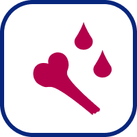 Bone marrow icon