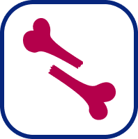 Broken bone icon