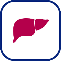 Icon of a liver