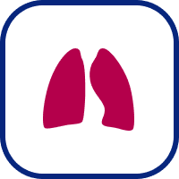 Icon of lungs