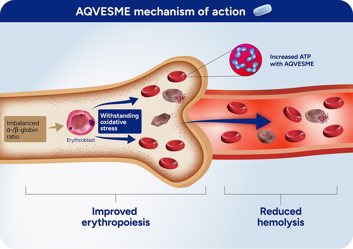 AQVESME mechanism of action illustration