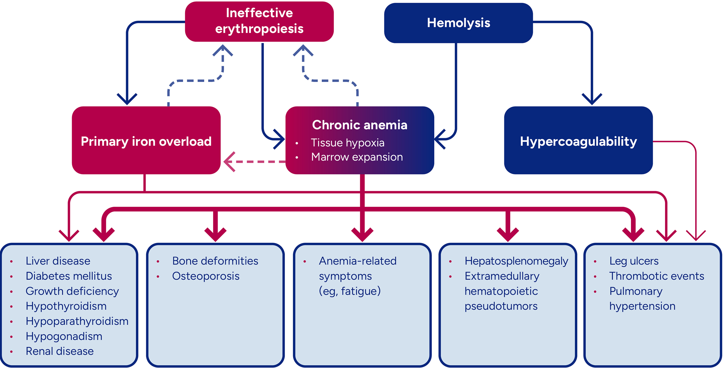 Flow chart showing different drivers of thalassemia and how they can cause potentially life-threatening complications