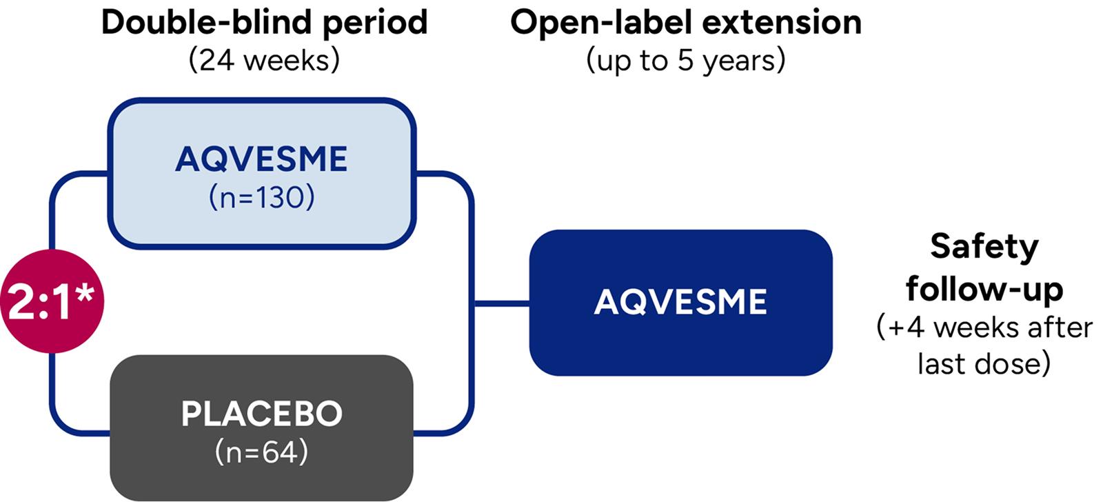 ENERGIZE clinical trial randomization diagram of 194 patients with 2:1 ratio between AQVESME and placebo arms