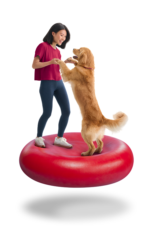 Woman and dog on red blood cell